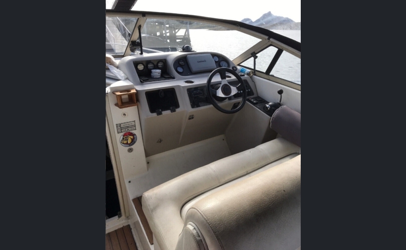 Donzi 275 Inx-kuva-3